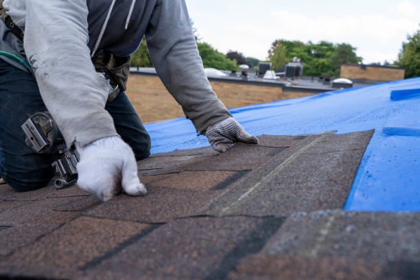 Roof Gutter Cleaning in New Kensington, PA